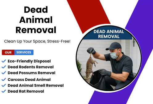Blairgowrie Dead Animal Removal