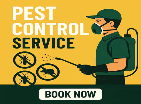 Pest Control Blairgowrie