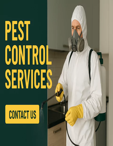 Same Day Pest Control Blairgowrie